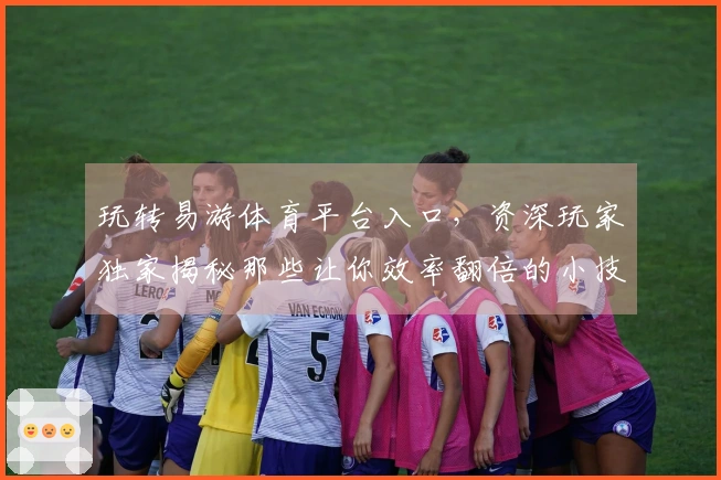 玩转易游体育平台入口，资深玩家独家揭秘那些让你效率翻倍的小技巧