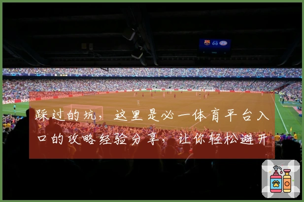 踩过的坑，这里是必一体育平台入口的攻略经验分享，让你轻松避开误区！