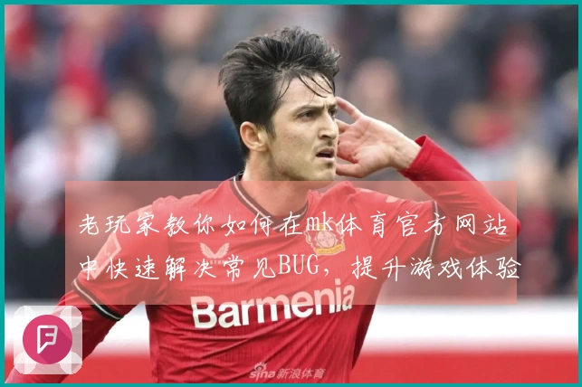 老玩家教你如何在mk体育官方网站中快速解决常见BUG，提升游戏体验