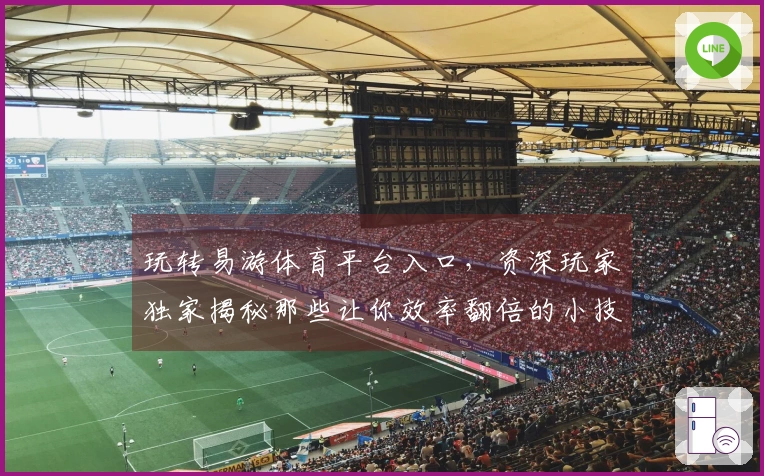 玩转易游体育平台入口，资深玩家独家揭秘那些让你效率翻倍的小技巧