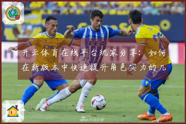 开云体育在线平台玩家分享：如何在新版本中快速提升角色实力的几点心得